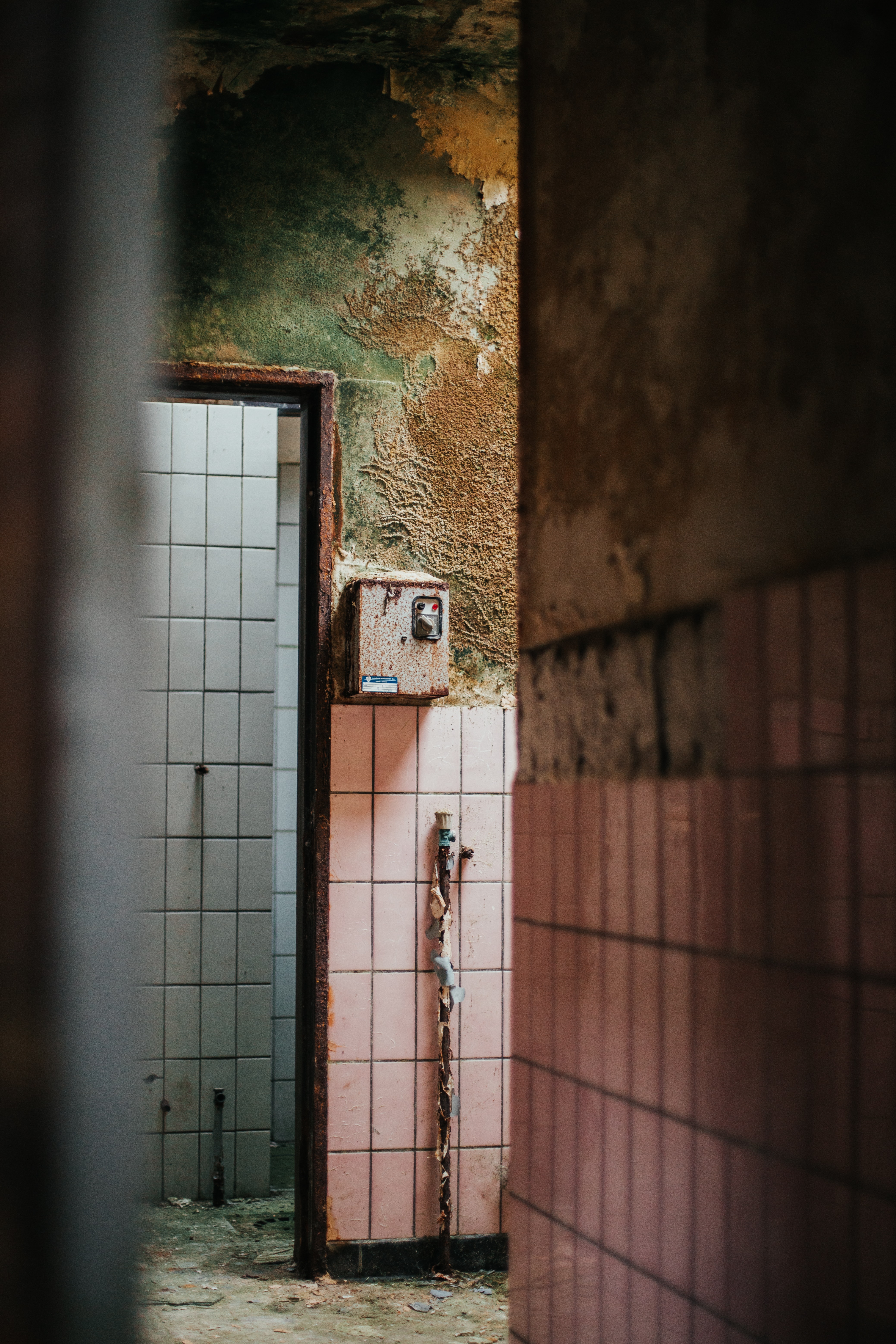 Mold in bathroom