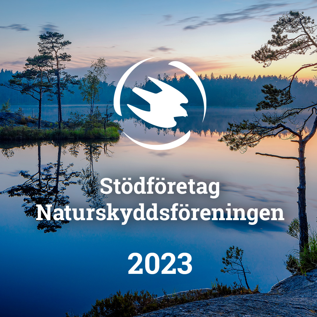 Naturskyddsföreningen 2022